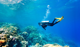 Al Jubail: 5 Hours Diving Experience every Saturday & Friday
