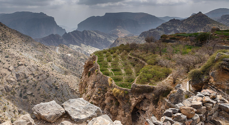 JEBEL AKHDAR TOUR (FULL DAY)