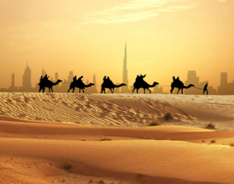 Platinum Evening Safari Package with 10% Off