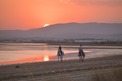 Horse Riding in Al Khobar