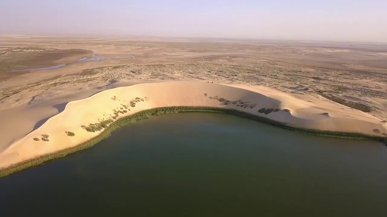 Desert Safari to Alasfar Lake