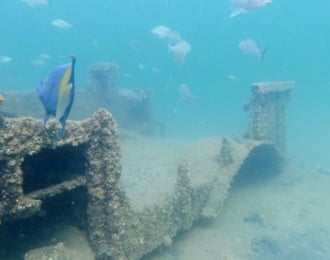An opportunity to learn to dive in 5 days