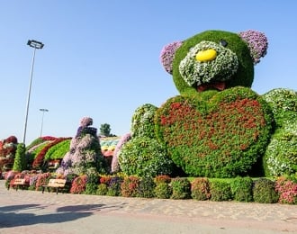 تذاكر الدخول العام ميراكل جاردن دبي