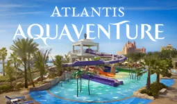 Full Day Atlantis Aquaventure Pass 