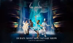 Platinum Ticket to La Perle by Dragone Show at Dubai