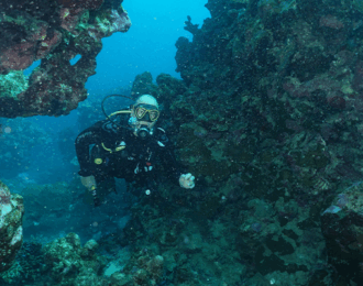 4 Hour Scuba Diving Experience in Jeddah