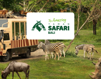 Ticket to Bali Safari and Marine Park with Animal Shows