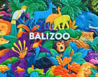 All-Day Pass Entry Ticket to Bali Zoo