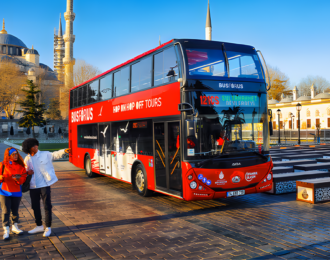 2.5-Hour Hop-On Hop-Off Istanbul Tour