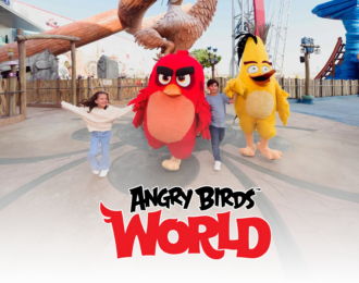 قطر: بطاقة دخول إلى عالم انجري بيردس