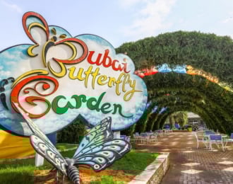 تذكرة دخول حديقة الفراشات في دبي