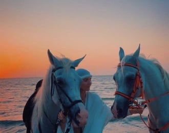 جولة لمدة ساعة لركوب الخيل والسباحة بشاطئ عاشور للمحترفين