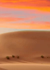 رحلات سفاري أبوظبي