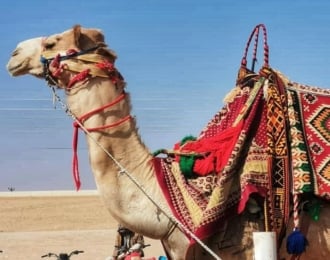 تجربة الغروب في صحراء الرياض بمنتجع الرملية الحمراء