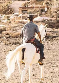 ركوب الخيل في الرياض