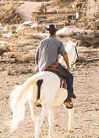 Horse Riding in Riyadh