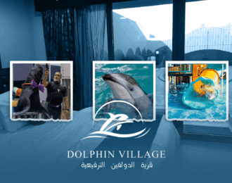 يوم كامل في قرية الدولفين الترفيهية بالدمام