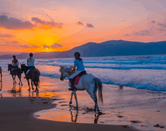 Enjoy Horse Riding on The Beach for 2 Hours + 1 Hour Free