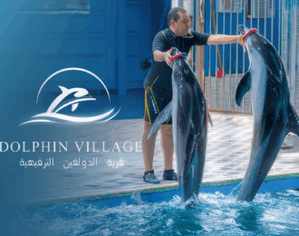 Entry Ticket to Dolphin Village + Access to All Shows with 20% Off