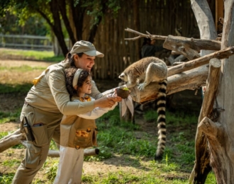 All Day Pass Ticket To Dubai Safari Park